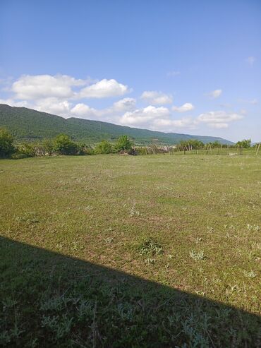 Torpaq sahələrinin satışı: 30 sot, Tikinti, Mülkiyyətçi, Kupça (Çıxarış) — 13