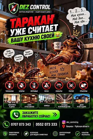 Дезинфекция, дезинсекция: Дезинфекция, дезинсекция, | Клопы, Блохи, Тараканы, | Офисы, Квартиры, Дома — 3