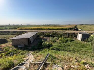 красивый дом: 5 соток, Бизнес үчүн, Кызыл китеп