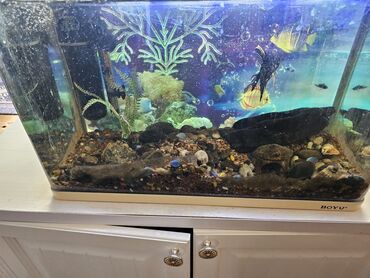 Декор для дома: Продаю аквариум 90 литров в хорошем состоянии в коплекте отдам всё что