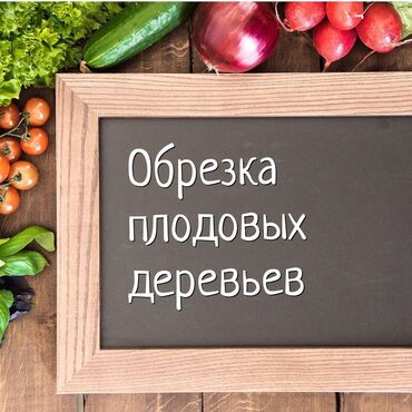 гортензия комнатная: 🌿 Обрезка плодовых деревьев.
🌿Обрезка сада.
🌿 Обработка деревьев