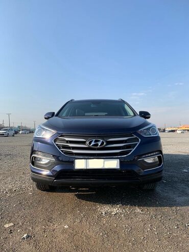 hyundai santa fe 2009: Продаю автомобиль в отличном состоянии. Кожаный салон. Топливо