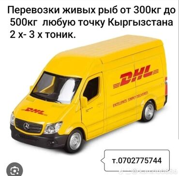 диван трансформер в двухъярусную кровать с 3 мя спальными местами: Услуга: перевозка живой рыбы по Кыргызстану. - Грузы: живая рыба от