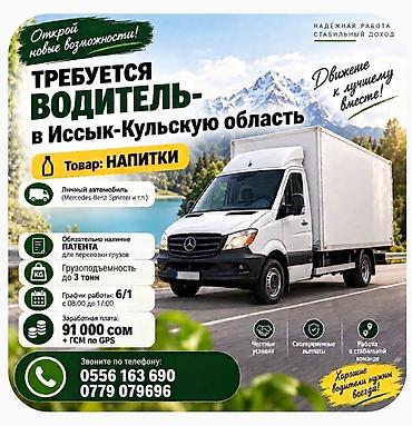 Медицина, фармацевтика: Требуется Водитель-экспедитор, Транспорт компании, Без опыта, Официальное трудоустройство — 1