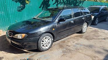 g30 530i: Nissan Primera: 2001 г., 1.8 л, Механика, Бензин, Универсал — 1