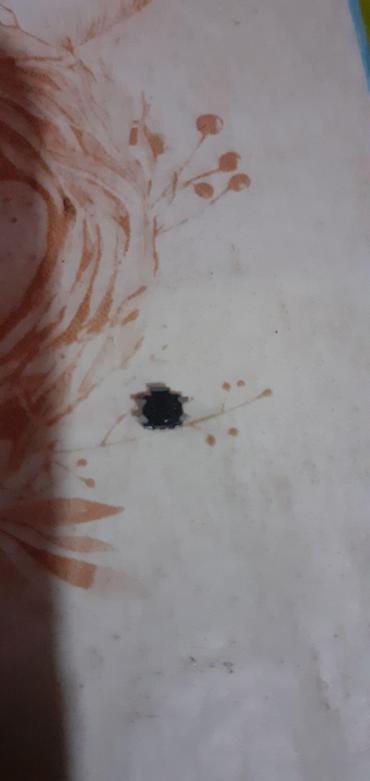 Nokia: Nokia E51, 2 GB, rəng - Qara, Düyməli — 9