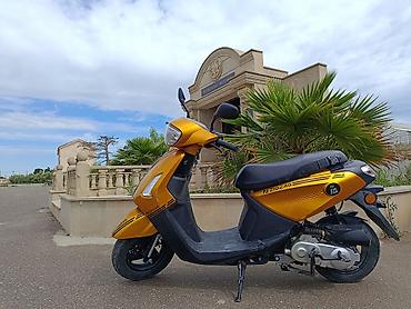 variator: - ZİGZAG 50 sm3, 2024 il, 7000 km — 1