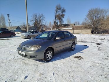 Toyota: Toyota Corolla: 2004 г., 1.6 л, Механика, Бензин, Седан