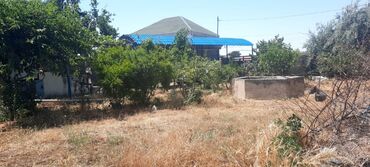 Bağ evlərinin satışı: Bakı, Saray, 100 kv. m, 3 otaqlı, Hovuzlu, İnternet, Qaz, İşıq — 12