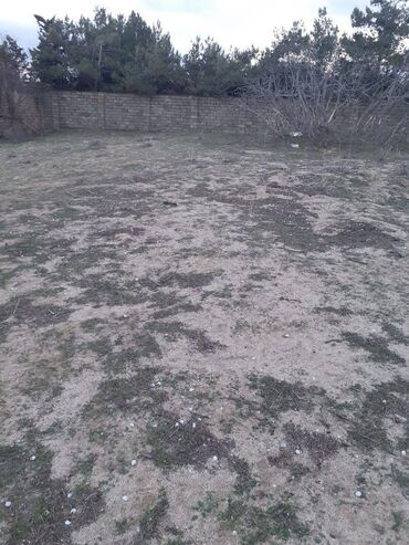 Torpaq sahələrinin satışı: 10 sot, Tikinti, Mülkiyyətçi, Bələdiyyə — 2