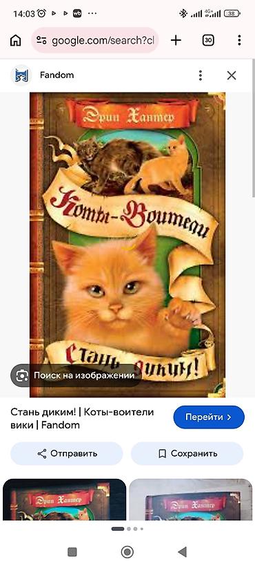 Детские книги: Куплю Книгу «Коты-воители. Стань диким!» (Erin Hunter). в хорошем — 1