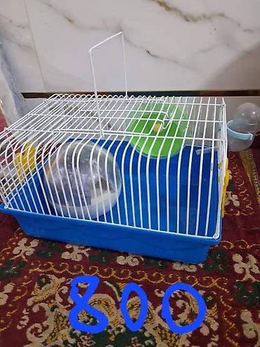 Зоотовары: Клетки очень дешево. распродаю остатки. цены от 500 до 1200 сом — 7