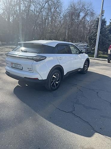 JMEV: JMEV : 2022 г., 3 л, Автомат, Электромобиль, Кроссовер — 5