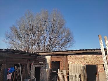 Продажа домов: Дом, 75 м², 4 комнаты, Собственник — 5