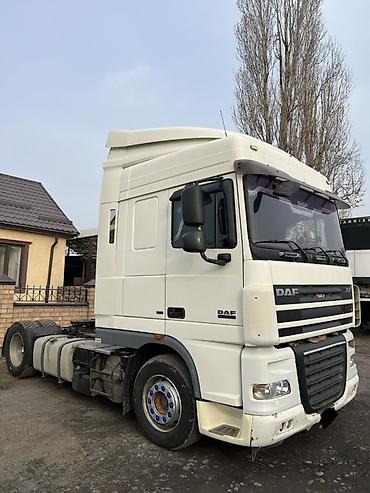 Тягачи: Тягач, DAF, 2008 г., Без прицепа — 1