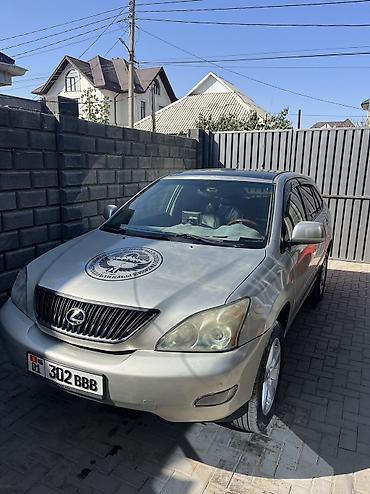Lexus: Lexus RX: 2005 г., Кроссовер — 11