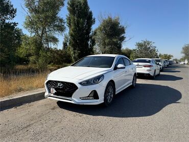 byd машина цена бишкек: Hyundai Sonata (рестайлинг), белый цвет Пробег: 91 000 км Состояние