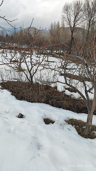 Продажа сельхоз предприятий: Питомник растений, 25 соток, Действующий, Частично с оборудованием, Без коммуникаций — 7