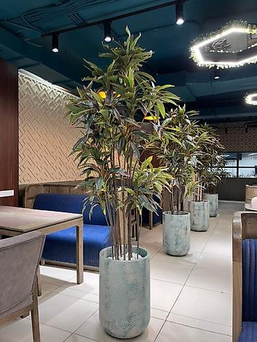 Декоративные цветы: 🌿✨ Mayram Decor.kg – искусственные деревья и цветы в Бишкеке ✨🌿 — 5