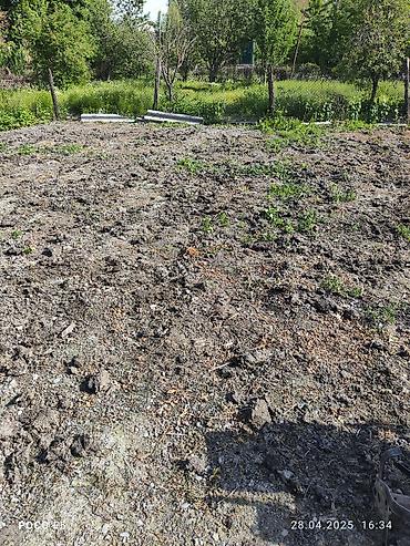 Другие услуги: Спашка огорода С дизельный мотоблок и бензиновый Цена договорная — 6