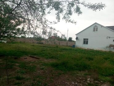 buzovnada torpaq satisi: 14 sot, Tikinti, Mülkiyyətçi, Bələdiyyə