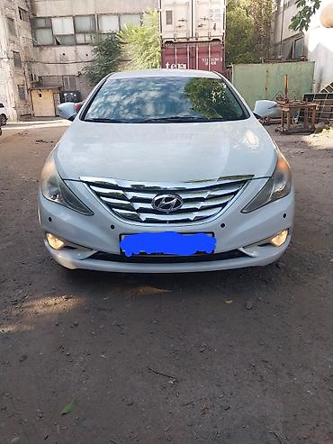 кия шума2: Hyundai Sonata: 2016 г., 2 л, Автомат, Газ, Седан — 1