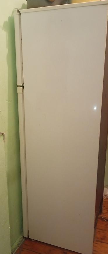 mator elektrik: Hoffmann iki kameralı soyuducu matoru yanib isdeyen yazsin vasab — 2