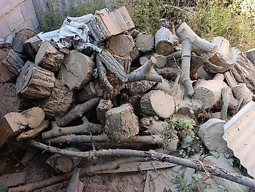 дрова отун сатылат: Отун Терек — 5