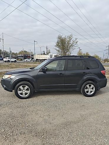 suba: Subaru Forester: 2010 г., 2.5 л, Автомат, Бензин, Кроссовер — 4
