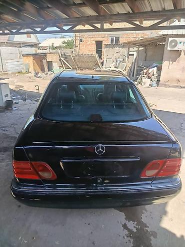 дерево на мерс: Mercedes-Benz E-Class: 1996 г., Автомат, Бензин, Седан — 4