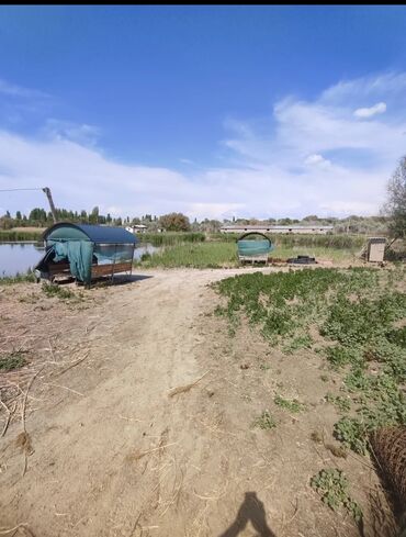 Продажа участков: 600 соток, Для бизнеса, Красная книга — 24