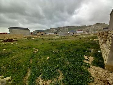 Torpaq sahələrinin satışı: 8 sot, Tikinti, Kupça (Çıxarış) — 9