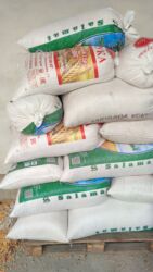 декоративные кролик: Продаю кукурузу сорт Тора Турецкий Цена 21 с доставка по городу так