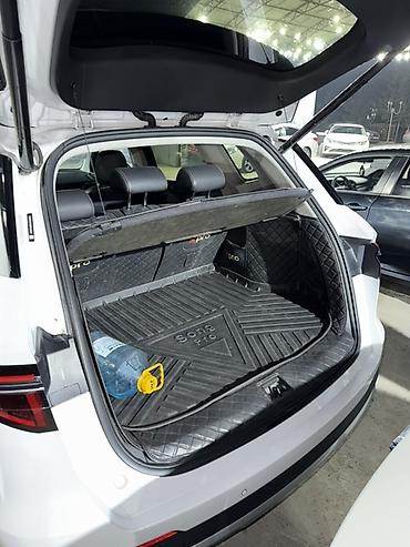 BYD: BYD Tang: 2021 г., 1.5 л, Вариатор, Бензин, Кроссовер — 7