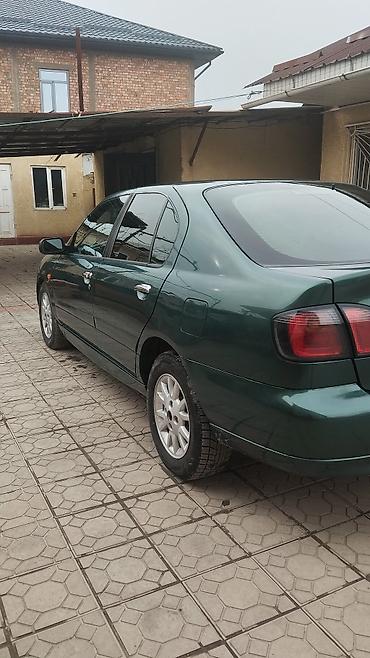 Nissan: Nissan Primera: 2001 г., 1.8 л, Механика, Бензин, Хэтчбэк — 5
