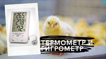 гигрометр термометр in Кыргызстан | ДРУГАЯ БЫТОВАЯ ТЕХНИКА: Термометр и гигрометр TA298Видеообзор тут ➡скопируйте ссылку и