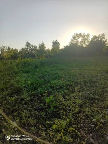 bakıxanov residence satilan evler: 80 sot, Tikinti, Mülkiyyətçi, Kupça (Çıxarış)