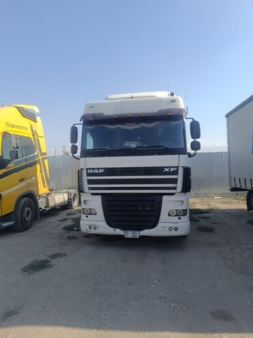даф хф: Сүйрөгүч, DAF, Парда