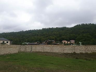 Torpaq sahələrinin satışı: Tikinti — 17