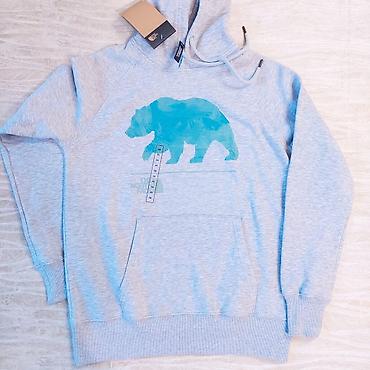tech fleese: Толстовка-худи The North Face - Модель: NSE Pullover Hoodie (арт — 2