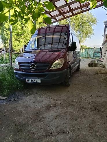 делфин мерс: Только ВАЦАП + Mercedes-Benz Sprinter (кузов W906), средний база — 1