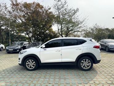 Hyundai: Hyundai Tucson: 2019 г., 2 л, Автомат, Дизель, Кроссовер — 6