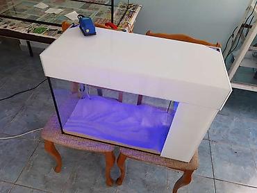 Aquariums: Izrada akvarijuma po narudzbini,akvarijume radimo svih dimenzija I — 12