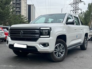 форт дизель: Ford F-150: 2024 г., 2.3 л, Механика, Дизель, Пикап