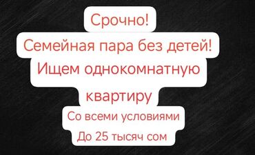 Сниму квартиру: 1 комната, 35 м², С мебелью