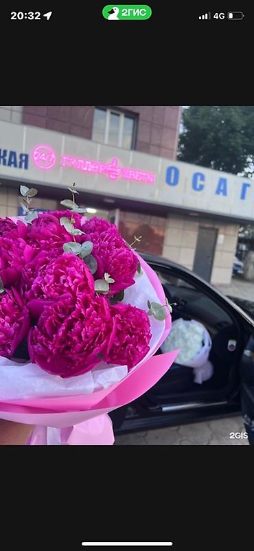 пет банки: Продается готовый бизнес.Или обмен на машину или землю оборудования — 5