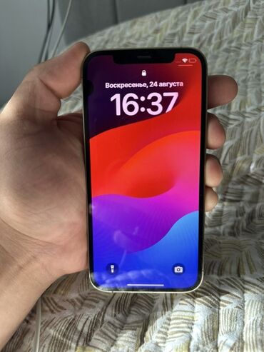 замена аккумулятора айфон бишкек: IPhone 12 Pro Max, Золотой