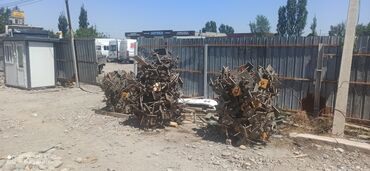 Аренда инструментов: Сдам в аренду Тайроты — 2