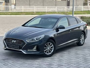 kruzhevnoe plate s: Hyundai Sonata: 2018 г., 2 л, Автомат, Бензин, Седан
