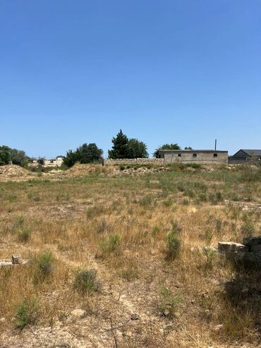 xacmazda torpaq satilir: 25 sot, Mülkiyyətçi, Kupça (Çıxarış)